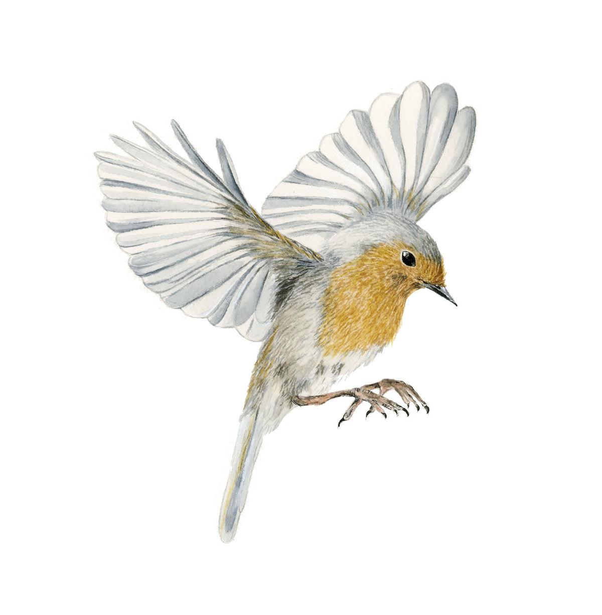 Flying bird - Watercolor Painting