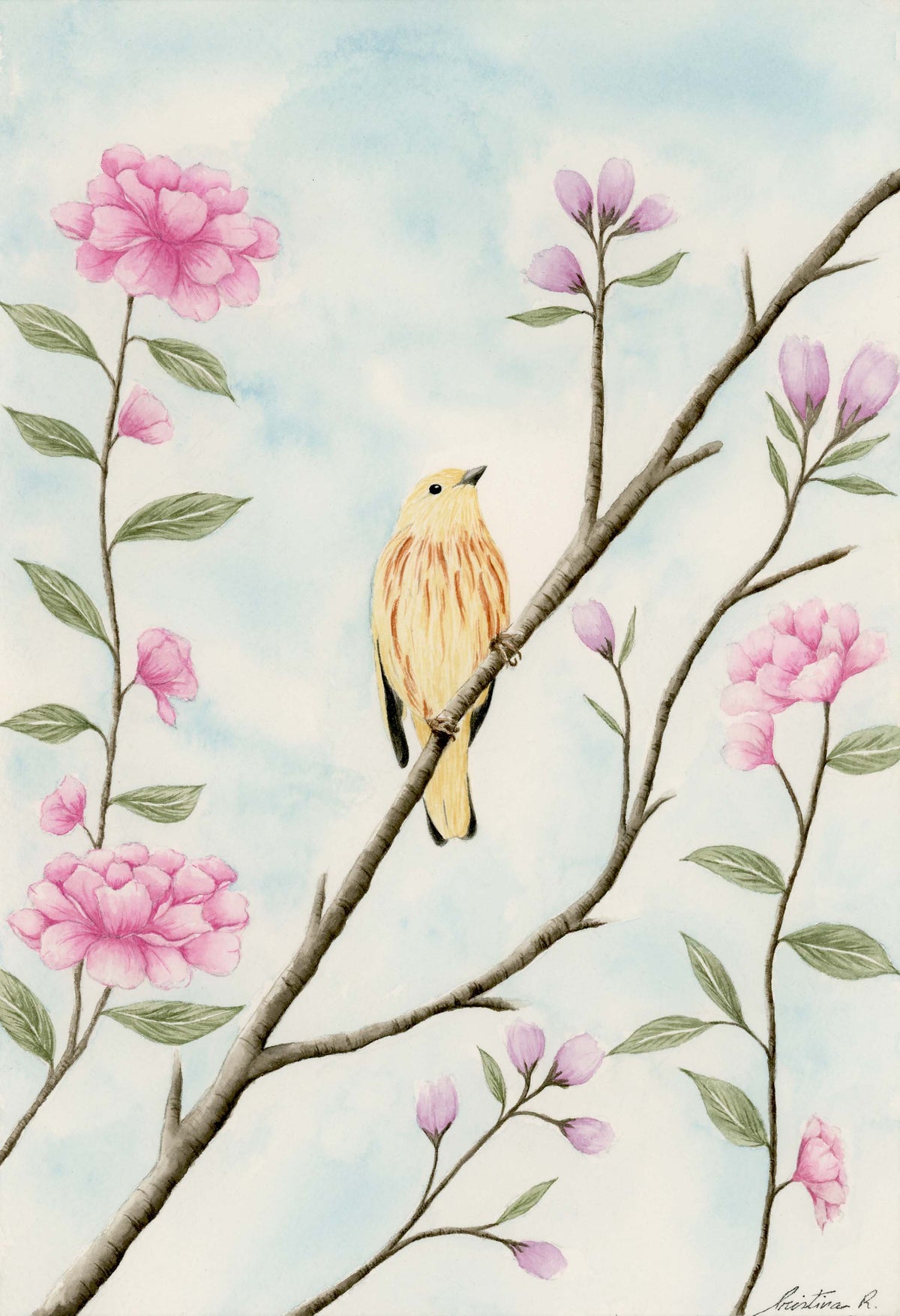 Yellow Bird and Blue Bird-Set of Two