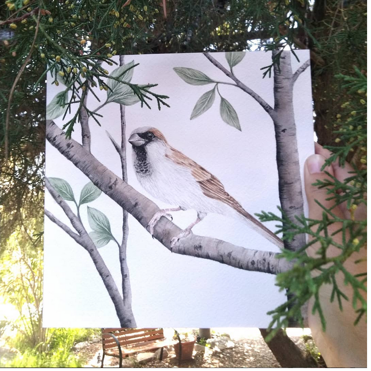 A little bird called "Pardal" - Watercolor Wall Art