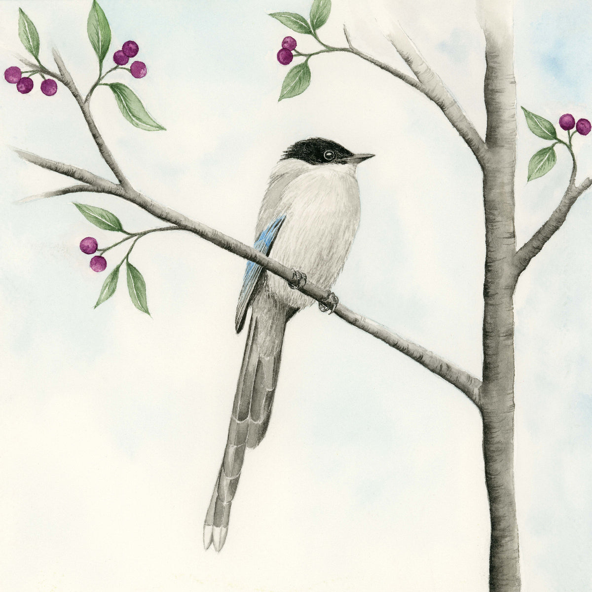 Little Birds - Set of Two
