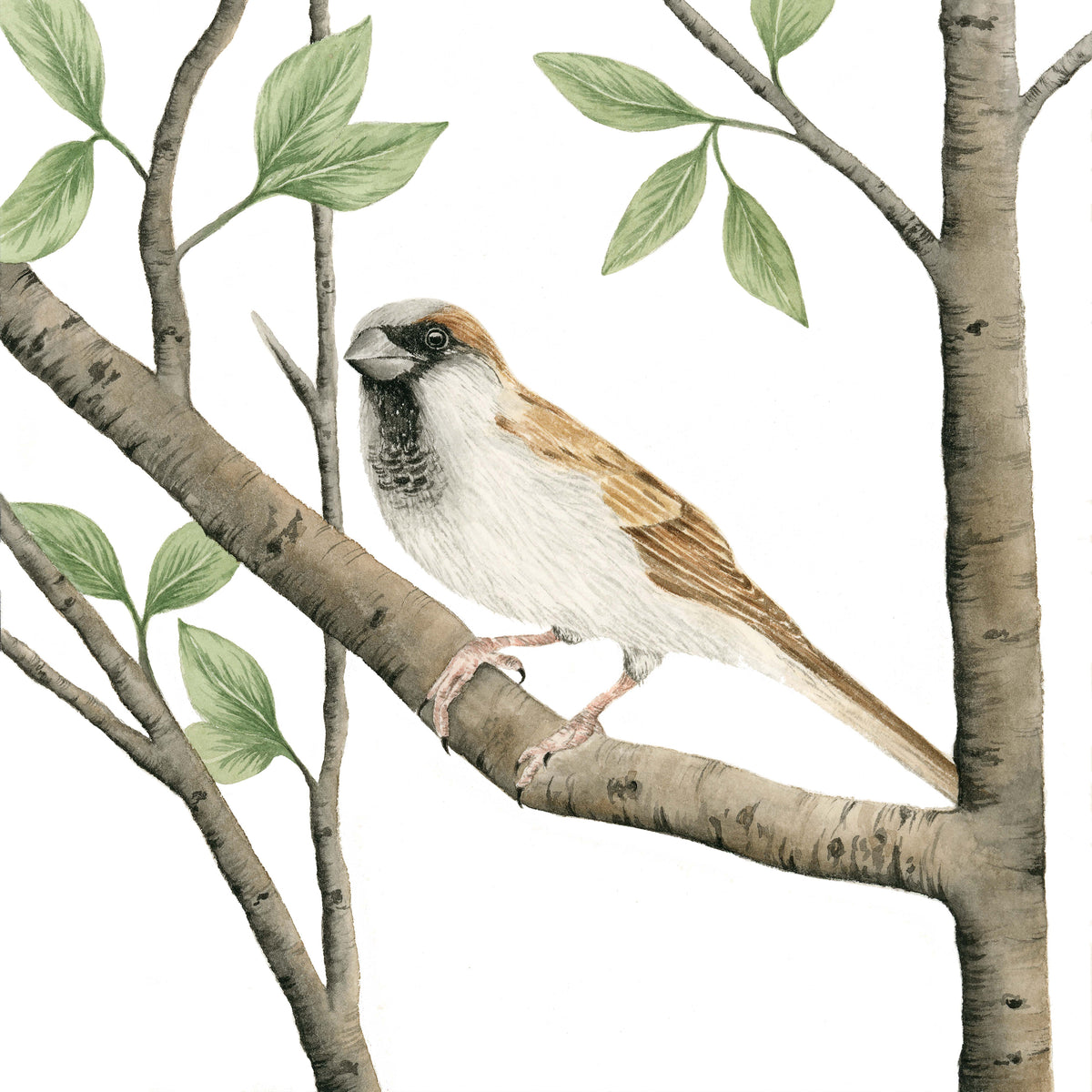 Little Birds - Set of Two